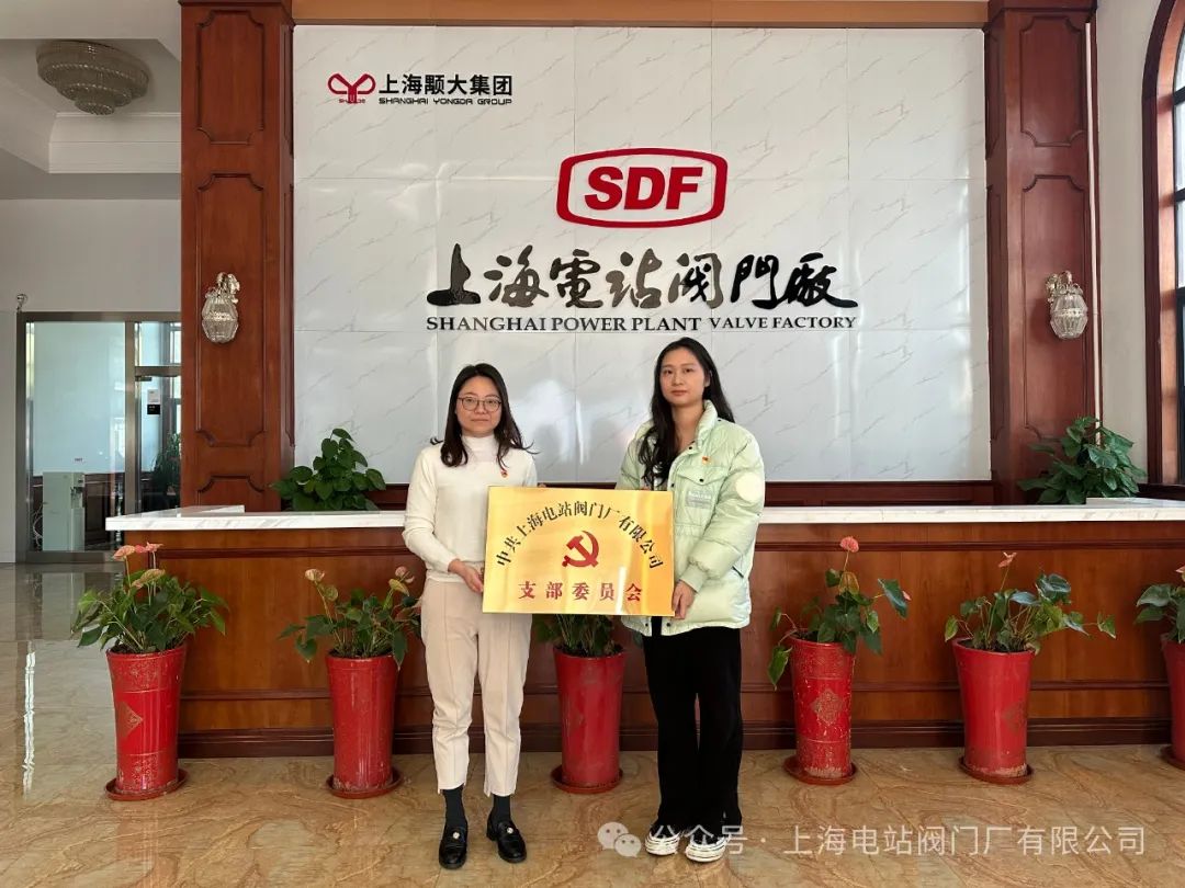 朱家角鎮社會黨委專職副書記袁佳授黨牌 朱家角鎮社會黨委專職副書記袁佳授黨牌