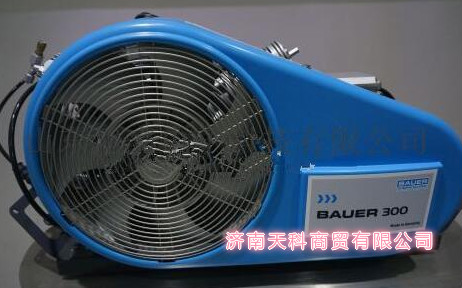 A߉՚≺sBAUER300-TE